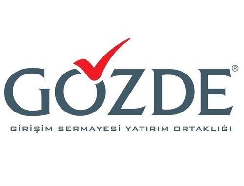 Demisaş ve Gözde Girişim sorusu