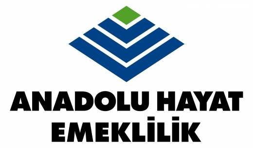 Anadolu Hayat Emeklilik ve Memsa sorusu