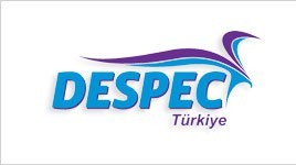 Doğuş Otomotiv ve Despec Bilgisayar sorusu