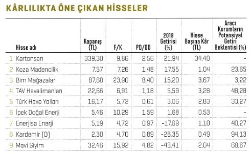 2019’un yıldız hisseleri