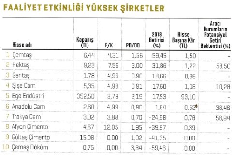 2019’un yıldız hisseleri