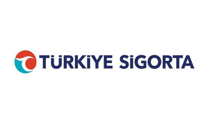 Ekiz Kimya ve Türkiye Sigorta sorusu